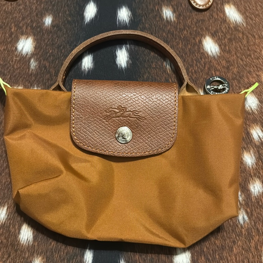 Viral Longchamp mini cosmetic pouch
